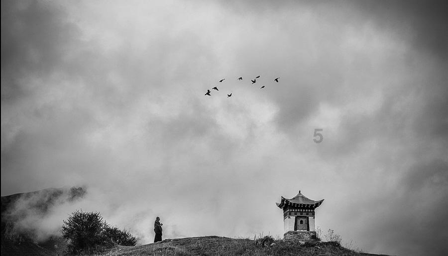 逃出美丽度假胜地