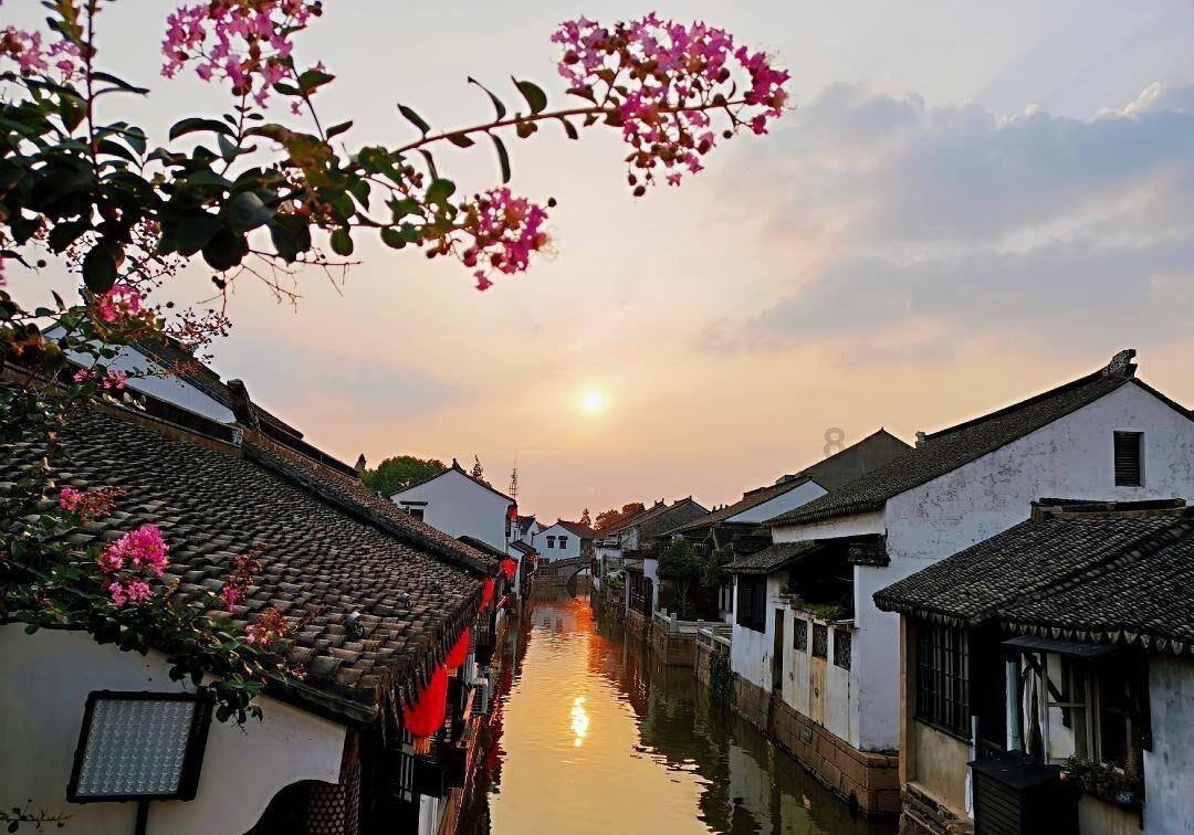 虫虫助手下载