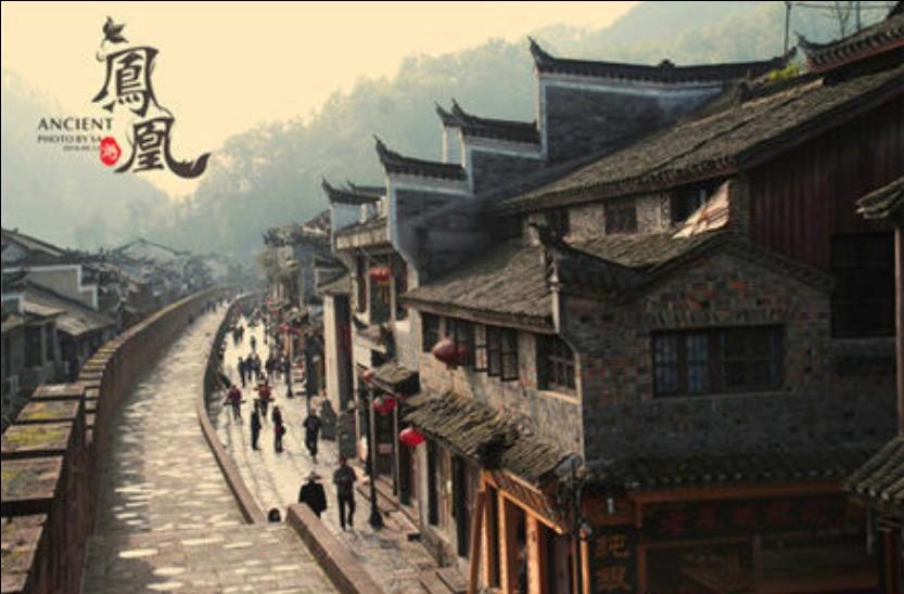 最新的世界上谁最胖知识星球,快来加入吧!